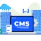 cms چیست